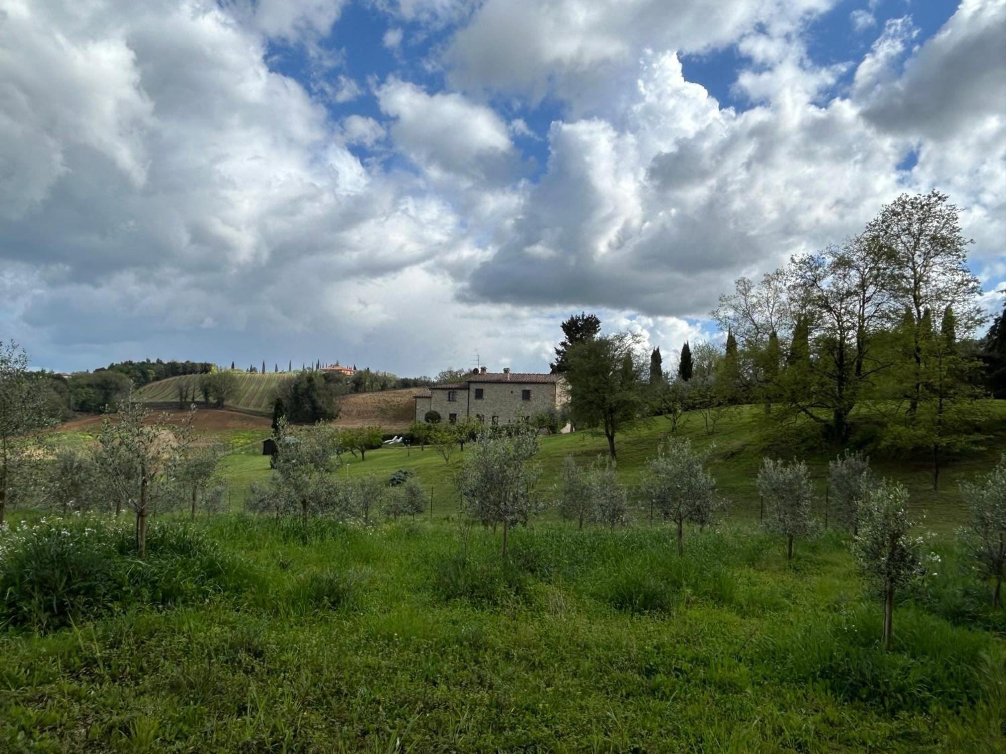 סן ג'ימיניאנו Podere Casanuova מראה חיצוני תמונה