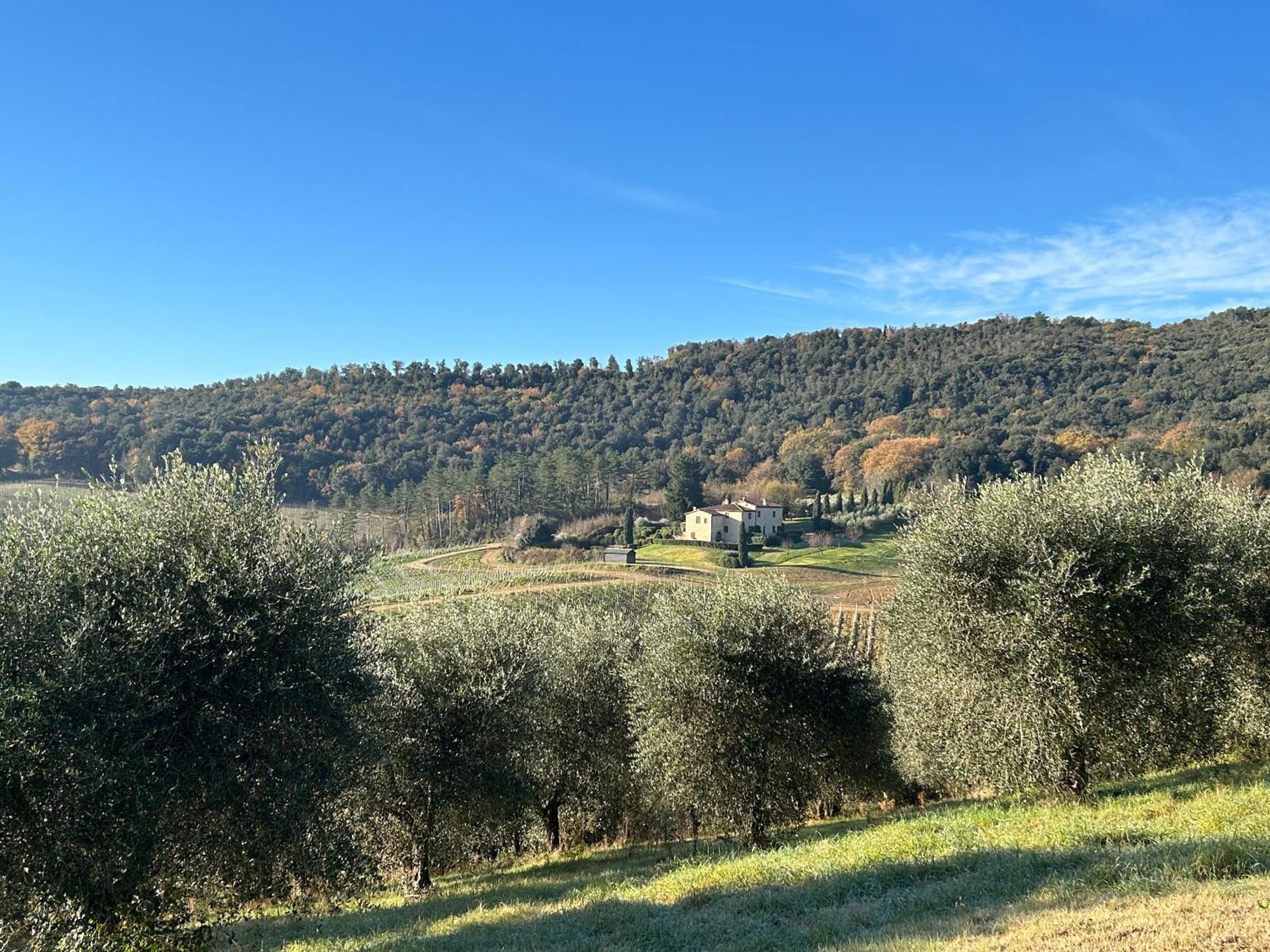סן ג'ימיניאנו Podere Casanuova מראה חיצוני תמונה